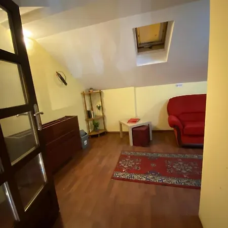 بيت شباب Iris