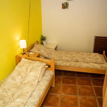 بيت شباب Iris