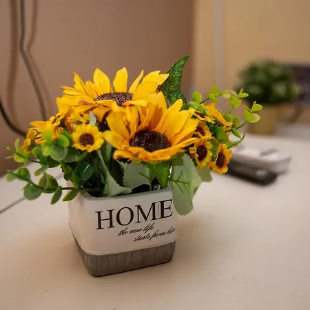 Hostel Iris Belgrade