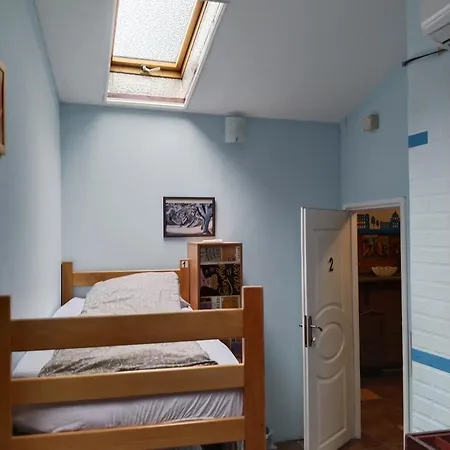 Iris بيت شباب بلغراد