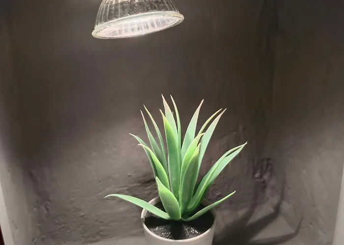 Iris Hostel Belgrade