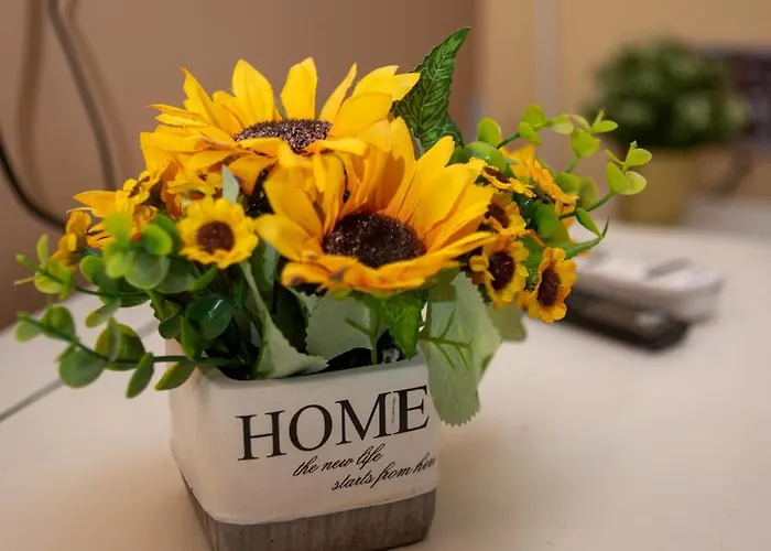 Hostel Iris Belgrade